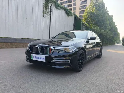 2019 BMW 5 Series New Energy 530Le Luxury Package, фото 1, лот 11449001