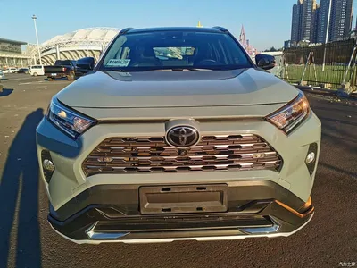 2020 Toyota RAV4 Rongfang 2.0L CVT 2WD Prestige Edition, фото 3, лот 10322827