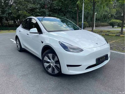 2022 Tesla Model Y Rear-Wheel Drive Version, фото 3, лот 11221897