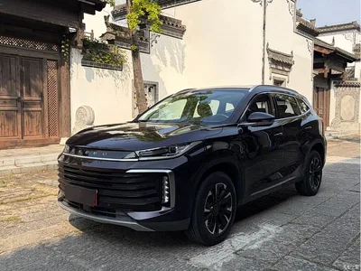2021 Exeed Lingyun 290T 2WD Star Glory Edition, фото 1, лот 11152093