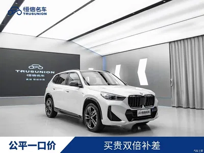 2023 BMW X1 xDrive25Li M Sport Package, фото 1, лот 10598182