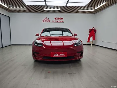 2021 Tesla Model 3 Standard Range Rear-Wheel Drive Upgrade, фото 3, лот 10346183