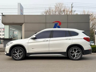 2018 BMW X1 sDrive18Li Premium Model, фото 4, лот 10466786
