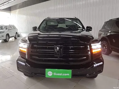 2024 Tank 500 EV Hi4-T Black Warrior Edition, фото 3, лот 11582228