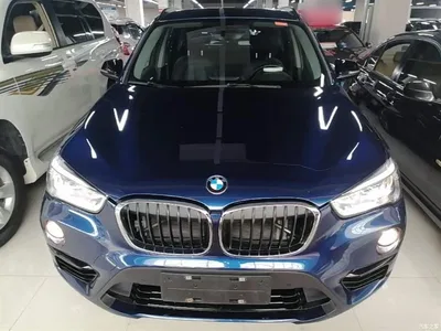 2019 BMW X1 xDrive20Li Luxury Model, фото 3, лот 10467826
