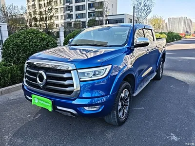 2021 Great Wall Pao 2.0T Passenger Global Edition Automatic Gasoline 2WD Comfort Standard Box GW4C20B, фото 1, лот 11545632