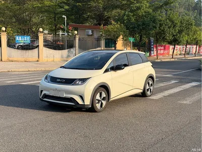 2023 BYD Dolphin 420km Fashion Edition, фото 1, лот 11182105