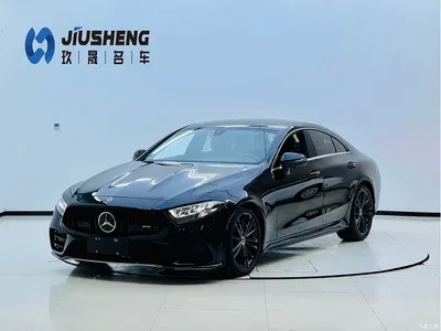 2021 Mercedes-Benz CLS 300 Sport, фото 1, лот 11175240