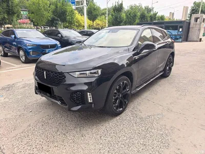 2017 WEY VV7 2.0T Flagship, фото 1, лот 10666453
