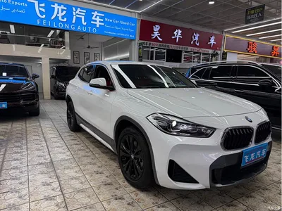 2022 BMW X2 sDrive25i M Sport Package, фото 3, лот 10237719