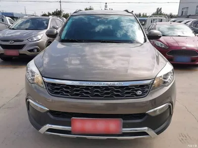 2017 Leopaard CS10 Model 2.0T Automatic Urban Edition, фото 3, лот 11646023
