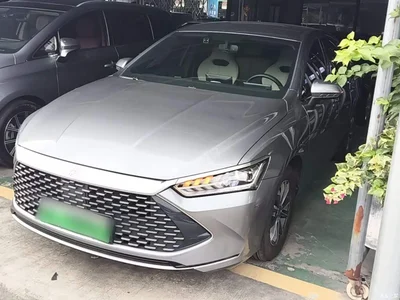 2024 BYD Qin PLUS Glory Edition DM-i 55KM Leading, фото 2, лот 11132876