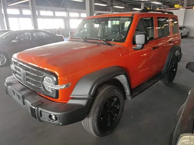 2023 Tank 300 Off-Road Edition 2.0T Conqueror, фото 1, лот 10615463