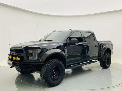 2019 Ford F-150 Raptor 3.5T Raptor Performance Enhanced Edition, фото 1, лот 10278748