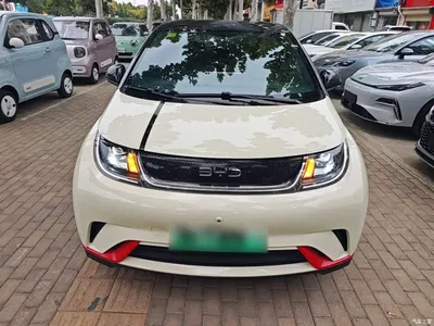 2025 BYD Dolphin 420km Freedom Edition, фото 3, лот 10389948