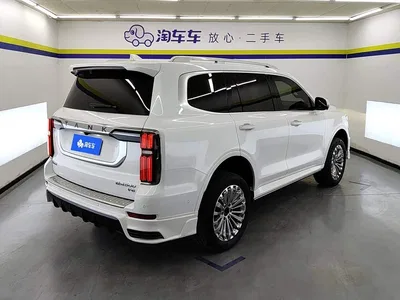 2022 Tank 500 3.0T Business Edition Zaojing 5-Seater, фото 3, лот 10690117