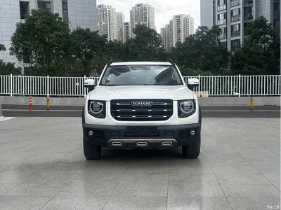 2021 Haval Big Dog 1.5T DCT 2WD Border Collie Edition, фото 3, лот 10765183