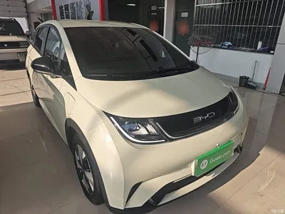 2023 BYD Dolphin 420km Freedom Edition, фото 4, лот 11095889