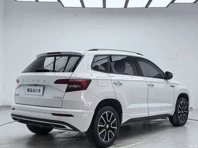 2023 Škoda Karoq TSI280 Premium Edition, фото 4, лот 10348764