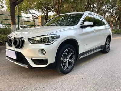 2016 BMW X1 xDrive20Li Luxury Model, фото 1, лот 10467425