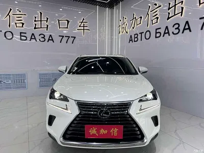 2020 Lexus NX 200 AWD F Sport China VI, фото 2, лот 10384117