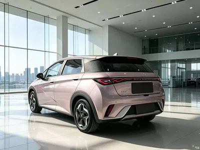 2021 BYD Dolphin Model 405km Fashion Edition, фото 4, лот 10401685