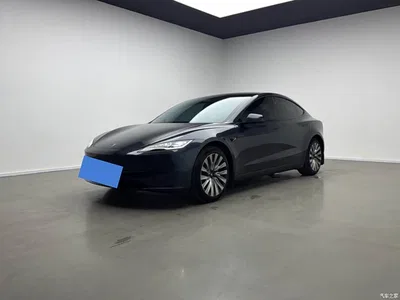 2023 Tesla Model 3 Long Range All-Wheel Drive, фото 1, лот 10352977