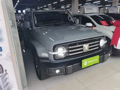 2021 Tank 300 Urban Edition 2.0T Stylish, фото 4, лот 10345539