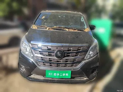 2024 Forthing Lingzhi PLUS 1.5T Manual Comfort 9-Seater, фото 2, лот 11583477