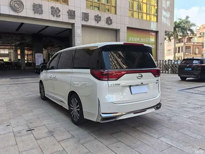 2021 GAC Trumpchi Trumpchi M8 Leading Show Series 390T Prestige Edition, фото 3, лот 10419415