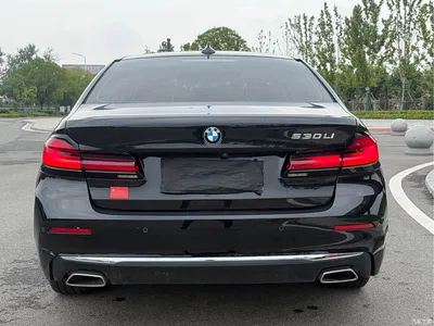 2021 BMW 5 Series 530Li Leading Luxury Package, фото 4, лот 11192075