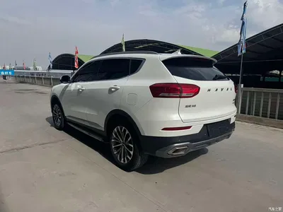 2020 Haval H6 2.0GDIT Automatic Platinum Champion Edition, фото 4, лот 11438090