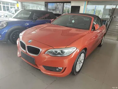 2015 BMW 2 Series (Import) 218i Convertible Coupe, фото 1, лот 10471422