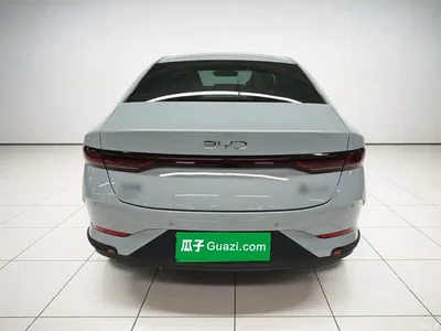 2025 BYD Qin PLUS DM-i Smart Drive 55KM Leader, фото 4, лот 10879731