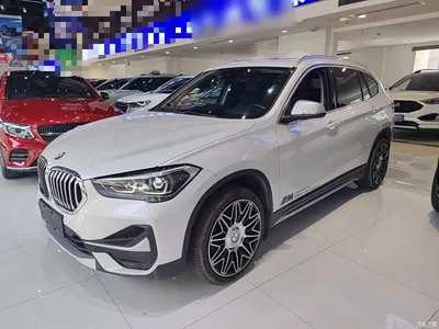 2021 BMW X1 Facelift xDrive25Li Premium, фото 1, лот 11197796