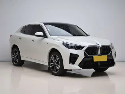 2024 BMW X2 (Import) sDrive25i M Sport Package, фото 3, лот 10475687