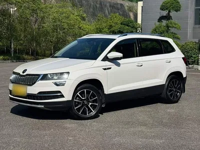 2019 Škoda Karoq TSI280 Smart Drive Luxury Edition China V, фото 1, лот 10348184