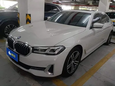 2022 BMW 5 Series Facelift 530Li Leading Luxury Package, фото 2, лот 11202091
