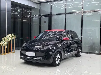 2025 Wuling Motors Wuling Bingo Model 333km Smart Connect, фото 1, лот 10367048