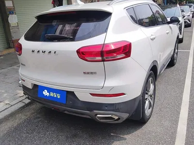 2019 Haval H6 1.5GDIT Auto Luxury Smart Edition China VI, фото 3, лот 10415715