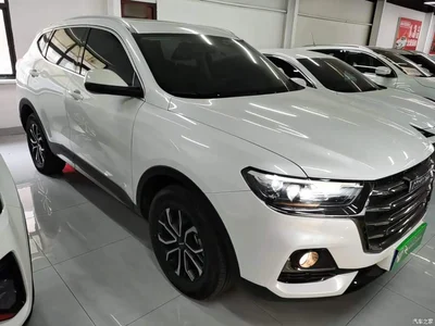 2021 Haval H6 National Trend Edition 1.5T Automatic Urban Edition, фото 4, лот 10284169