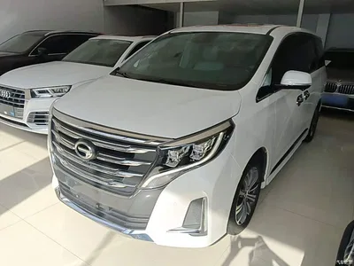 2020 GAC Trumpchi Trumpchi M8 Pilot 390T Ultimate Edition, фото 1, лот 11502019