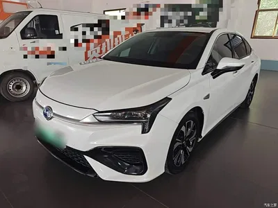 2019 Aion S Charm 530, фото 1, лот 11178927