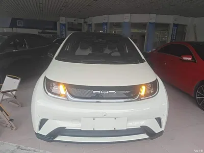 2023 BYD Dolphin 420km Fashion Edition, фото 3, лот 10521919