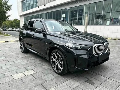 2023 BMW X5 xDrive 30Li Premium M Sport Black Night Package, фото 2, лот 10463173