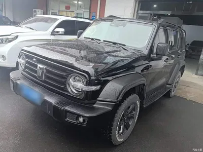 2023 Tank 300 Off-Road Edition 2.0T Challenger, фото 1, лот 10347398