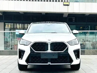 2024 BMW X2 (Import) sDrive25i M Sport Package, фото 2, лот 10401925