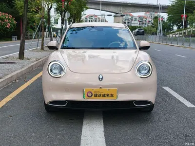 2022 Ora Good Cat Model Morandi Edition 400km Standard Range Luxury LFP, фото 3, лот 11249780
