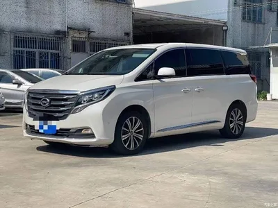 2018 GAC Trumpchi Trumpchi M8 320T Flagship Edition, фото 1, лот 10611608
