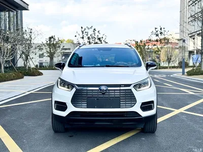 2019 BYD Yuan New Energy EV535 Smart Connection Leading Type, фото 2, лот 10397152